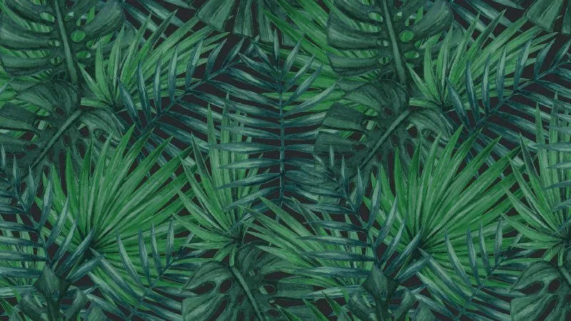 Palm Sunday